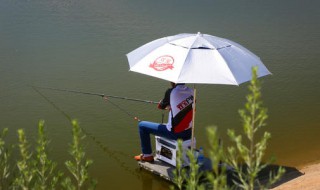 深秋钓鲫鱼线组搭配 准备东西去钓鱼吧