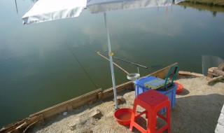 夜晚钓土鲮鱼的钓法 晚上是钓鱼的好时候