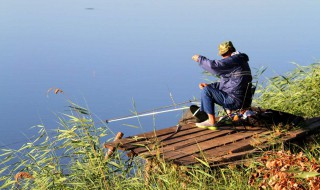 立冬钓鱼技巧 老钓手不小心说漏了嘴