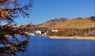 长野介绍 你想去看看吗