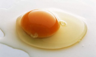 去掉蛋壳的鸡蛋还能孵化吗 你知道吗