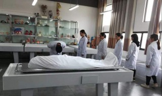 老年人能捐献遗体吗 有哪些流程呢