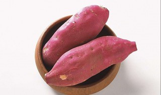 减肥红薯家常做法 你喜欢哪种做法呢