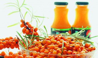 女性喝沙棘汁的好处 了解沙棘的营养价值
