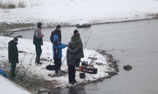 冬季钓鲫鱼技巧11月份 11月怎么野钓鲫鱼
