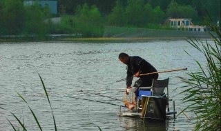 杭州钓鱼的地方 杭州适合钓鱼的好去处