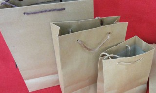 手工纸袋制作图解步骤 手工纸袋的制作方法步骤详解
