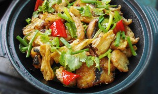 广东腐竹焖鱼的做法 家常做鱼好方法