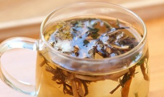 蒲公英泡酒喝的功效 效果非常的多