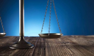 民事强制执行法 民事强制执行法简介