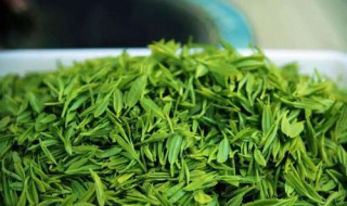 什么茶配冰糖 有什么效果