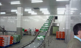 食品厂如何打开市场 教你做好这些工作