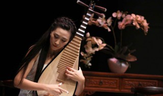 琵琶指法技巧 学会了吗