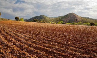 宅基地纠纷找谁 宅基地处理人员
