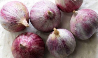 怎样种独头蒜 分享种好独头蒜关键点
