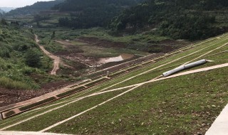 南充大通镇要搬迁吗 看看怎么说