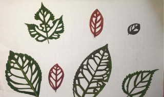 如何制作叶脉书签 怎么制作叶脉书签