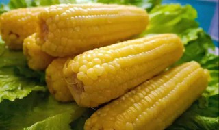 甜玉米一年能种几次 现在你知道了吗