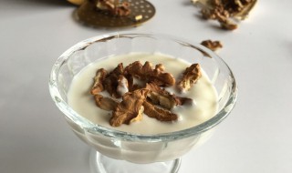 蜂蜜核桃酸奶的做法 蜂蜜核桃酸奶怎么做