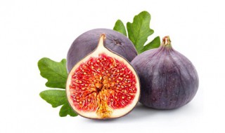 无花果施什么肥好 专家告诉你