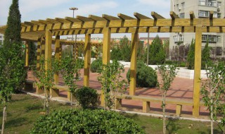 花架怎么搭 如何自己搭花架