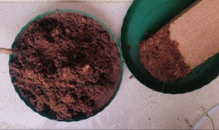 盆土板结小窍门 有哪些小窍门