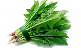 多吃菠菜有什么好处 你还不爱吃菠菜吗