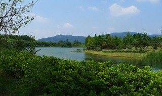 梅花湖所在地 在哪里呢