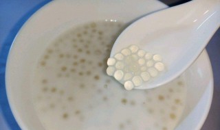 牛奶西米露家常做法 难度不高的