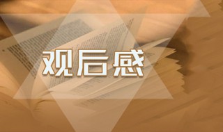 观后感怎么写 不知道怎么写的来看看