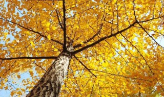 aabc词语有哪些 aabc词语精选