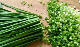韭菜种子播种方法 种植韭菜的步骤