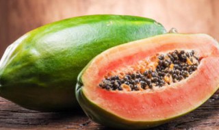 木瓜防寒最佳方法 木瓜如何防寒