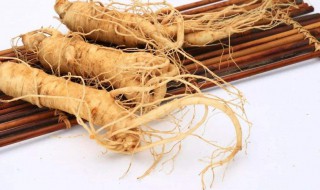 山参怎么保存 山参的保存方法