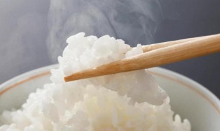 吃不完的米饭怎么保存 剩饭的四种保存方式