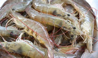 新鲜的虾怎么保存 新鲜的虾如何保存