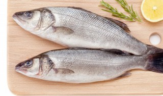 鲈鱼去鳞的正确方法 鲈鱼去鳞的方法