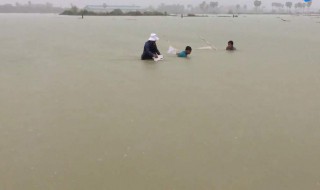 在河里捕鱼用什么方法 这些方法都值得一试