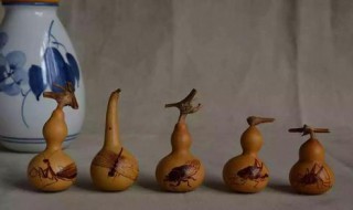 葫芦发霉怎么处理方法 为什么会发霉呢