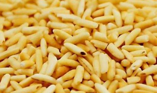 炒米窍门 炒米的方法