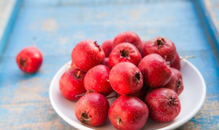 山楂育苗最新方法 山楂树怎么育苗