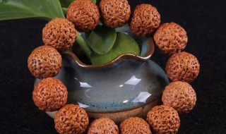 菩提子繁殖方法 怎么繁殖菩提子