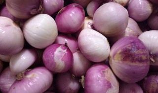 洋葱怎么吃 洋葱吃的方法