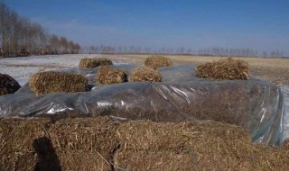 秸秆露天发酵方法 秸秆发酵方法