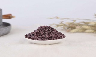 紫米酿酒的制作方法 紫米酒酿怎么做呢