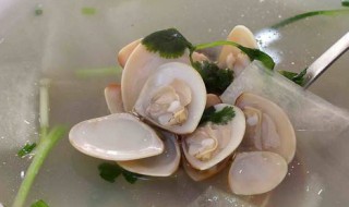 做海螺汤窍门 怎么做海螺汤