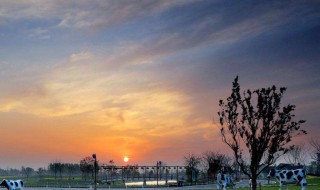 好听干净不易撞两个字女网名 好听干净不易撞两个字女网名大全