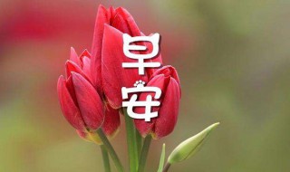 很甜的早安语录 很甜的早安语录句句甜到心窝里