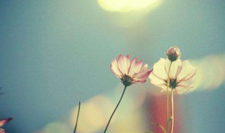 个性微信昵称 微信个性昵称有哪些