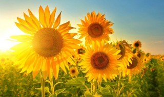 正能量励志句子 给自己正能量的励志语录